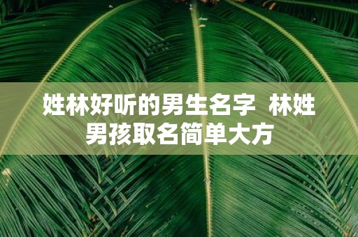 姓林好听的男生名字 林姓男孩取名简单大方