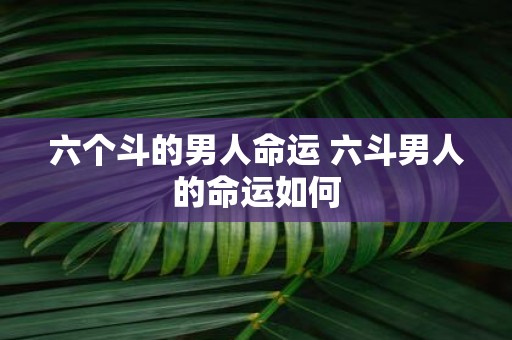 六个斗的男人命运 六斗男人的命运如何