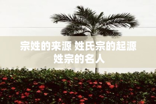 宗姓的来源 姓氏宗的起源 姓宗的名人