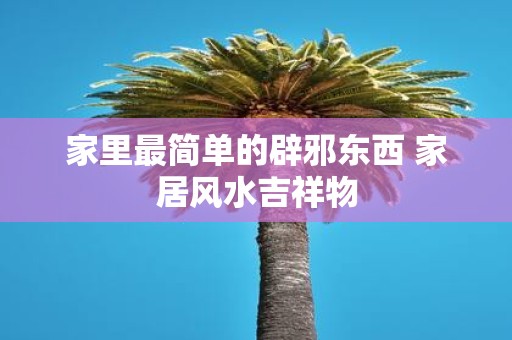 家里最简单的辟邪东西 家居风水吉祥物