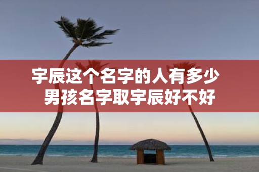 宇辰这个名字的人有多少 男孩名字取宇辰好不好