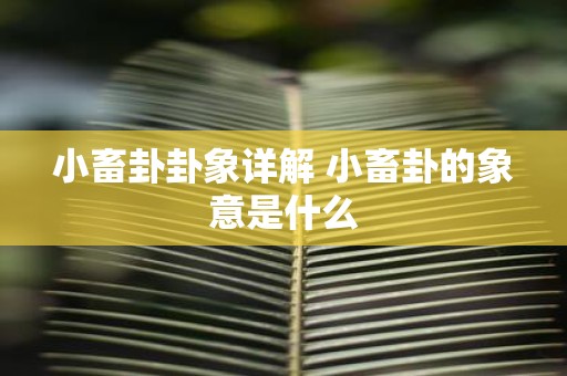 小畜卦卦象详解 小畜卦的象意是什么