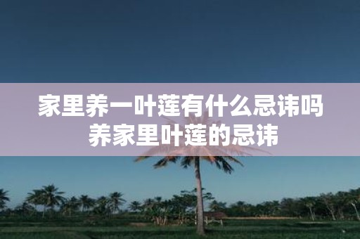 家里养一叶莲有什么忌讳吗 养家里叶莲的忌讳