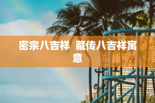 密宗八吉祥 藏传八吉祥寓意