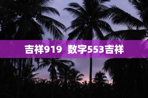 吉祥919 数字553吉祥