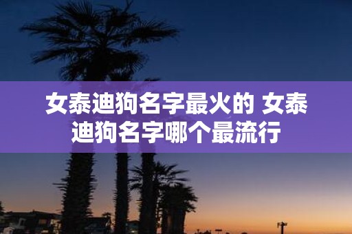 女泰迪狗名字最火的 女泰迪狗名字哪个最流行