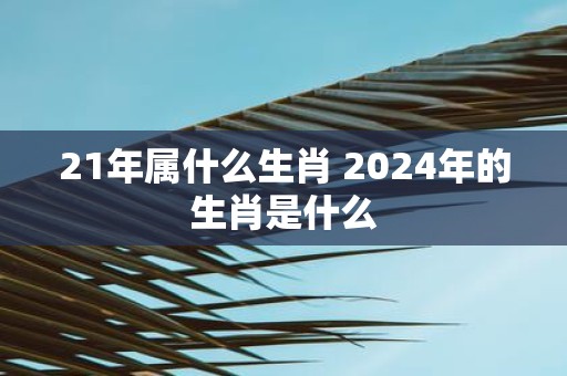 21年属什么生肖 2025年的生肖是什么