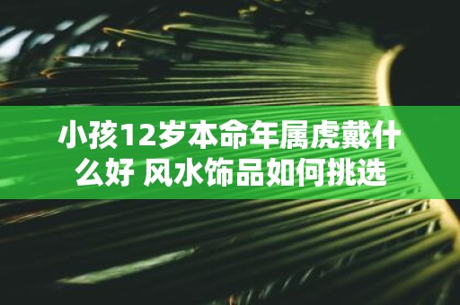 小孩12岁本命年属虎戴什么好 风水饰品如何挑选
