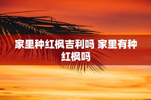 家里种红枫吉利吗 家里有种红枫吗