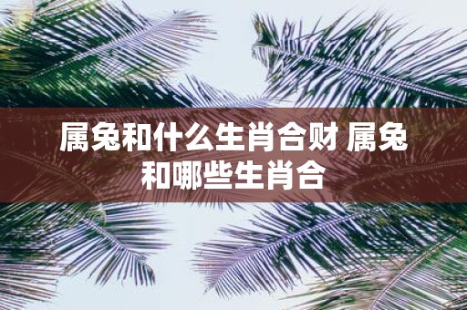 属兔和什么生肖合财 属兔和哪些生肖合