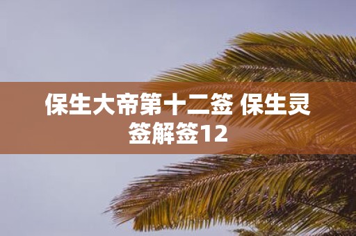 保生大帝第十二签 保生灵签解签12