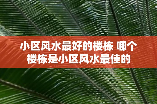 小区风水最好的楼栋 哪个楼栋是小区风水最佳的