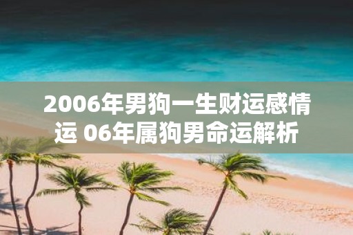 2006年男狗一生财运感情运 06年属狗男命运解析