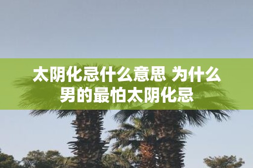 太阴化忌什么意思 为什么男的最怕太阴化忌