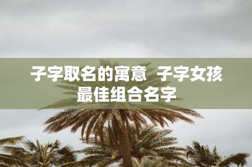 子字取名的寓意 子字女孩最佳组合名字