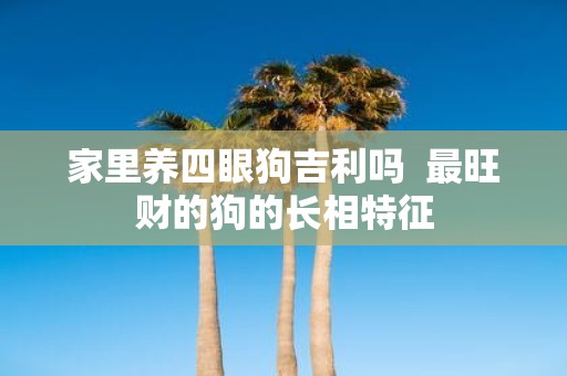 家里养四眼狗吉利吗 最旺财的狗的长相特征