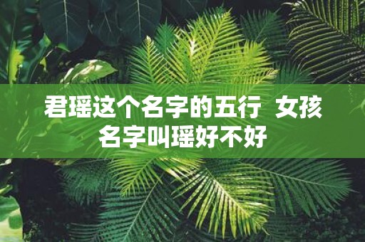 君瑶这个名字的五行 女孩名字叫瑶好不好