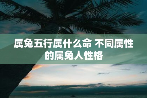 属兔五行属什么命 不同属性的属兔人性格