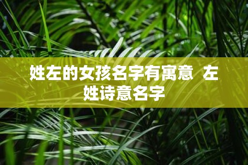 姓左的女孩名字有寓意 左姓诗意名字