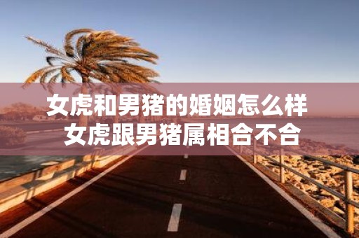 女虎和男猪的婚姻怎么样 女虎跟男猪属相合不合