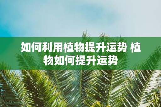 如何利用植物提升运势 植物如何提升运势