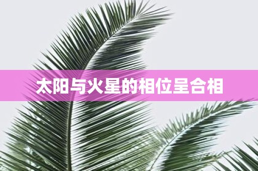 太阳与火星的相位呈合相