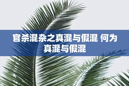 官杀混杂之真混与假混 何为真混与假混