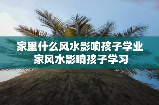 家里什么风水影响孩子学业 家风水影响孩子学习