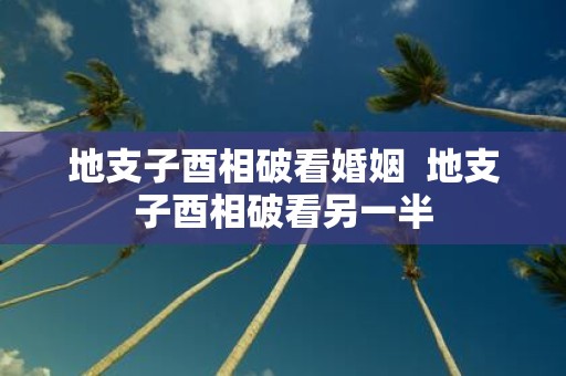 地支子酉相破看婚姻 地支子酉相破看另一半