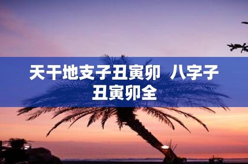 天干地支子丑寅卯 八字子丑寅卯全