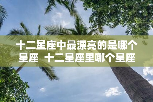 十二星座中最漂亮的是哪个星座 十二星座里哪个星座最漂亮