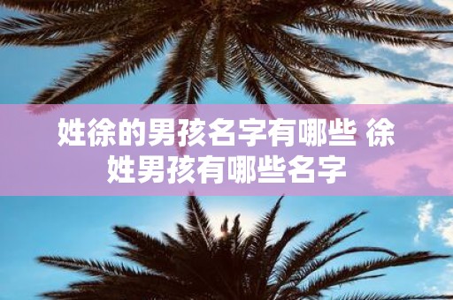 姓徐的男孩名字有哪些 徐姓男孩有哪些名字