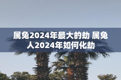 属兔2025年最大的劫 属兔人2025年如何化劫