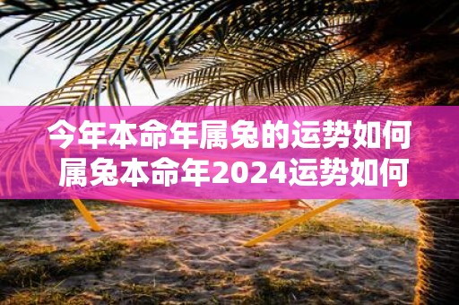 今年本命年属兔的运势如何 属兔本命年2025运势如何