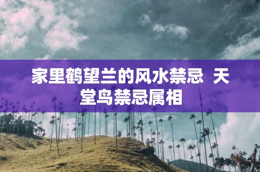 家里鹤望兰的风水禁忌 天堂鸟禁忌属相