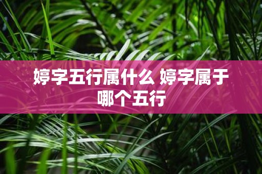 婷字五行属什么 婷字属于哪个五行