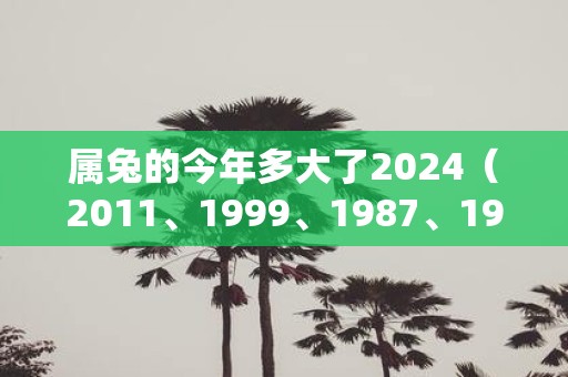 属兔的今年多大了2025（2011、1999、1987、1975、1963）