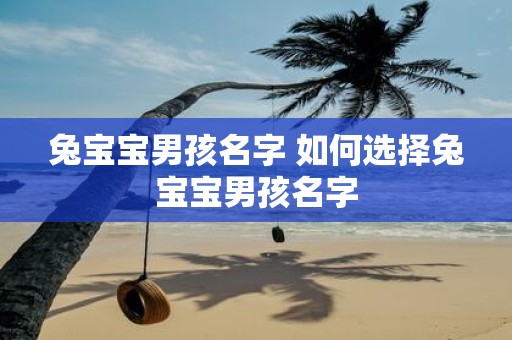 兔宝宝男孩名字 如何选择兔宝宝男孩名字