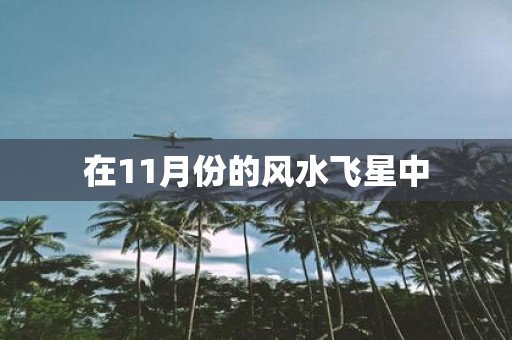 在11月份的风水飞星中