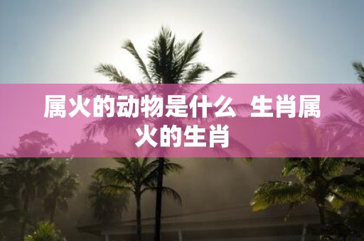 属火的动物是什么 生肖属火的生肖