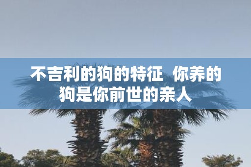 不吉利的狗的特征 你养的狗是你前世的亲人