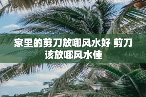 家里的剪刀放哪风水好 剪刀该放哪风水佳