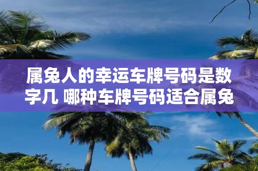属兔人的幸运车牌号码是数字几 哪种车牌号码适合属兔人