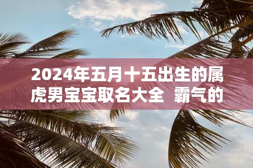 2025年五月十五出生的属虎男宝宝取名大全 霸气的名字