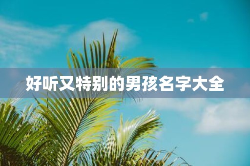 好听又特别的男孩名字大全