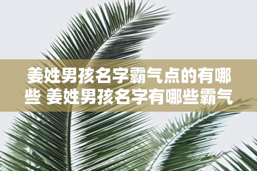 姜姓男孩名字霸气点的有哪些 姜姓男孩名字有哪些霸气点的