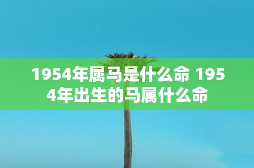 1954年属马是什么命 1954年出生的马属什么命