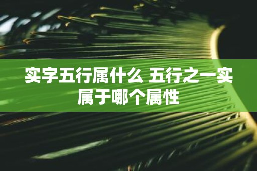 实字五行属什么 五行之一实属于哪个属性