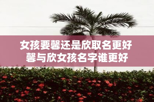 女孩要馨还是欣取名更好 馨与欣女孩名字谁更好