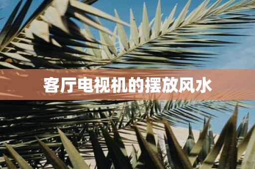 客厅电视机的摆放风水